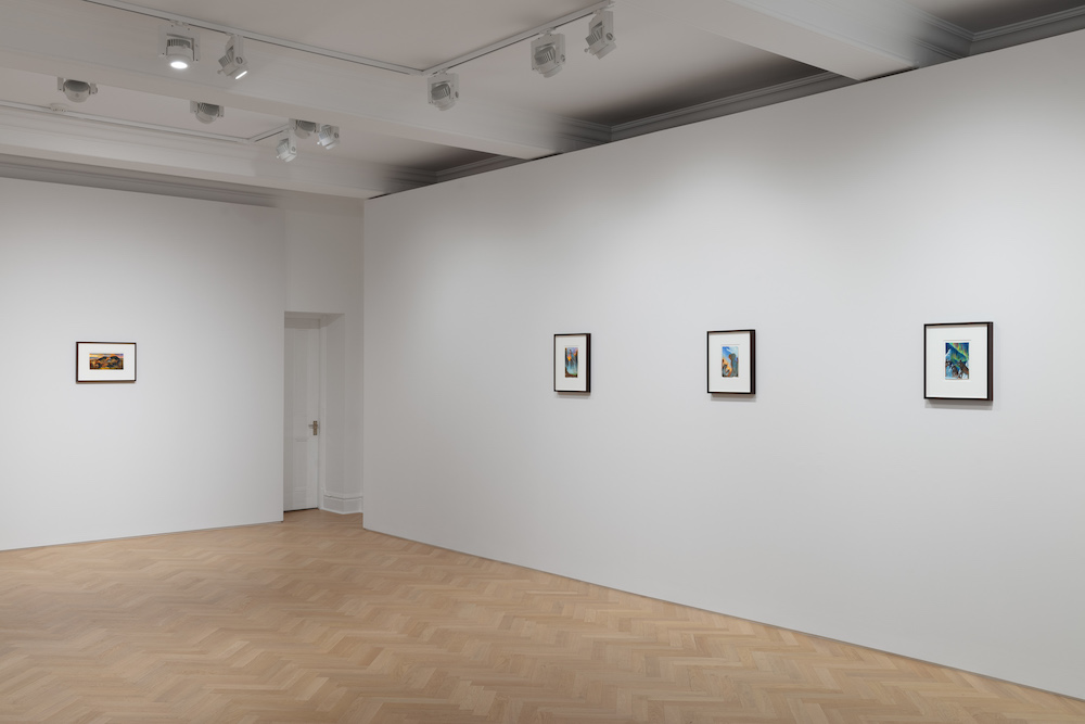 Walton Ford Galerie Max Hetzler 