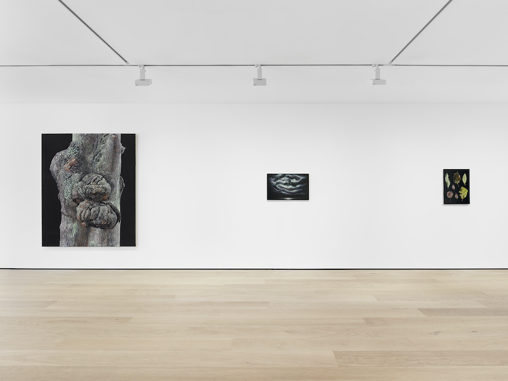 Daichi Takagi David Zwirner 