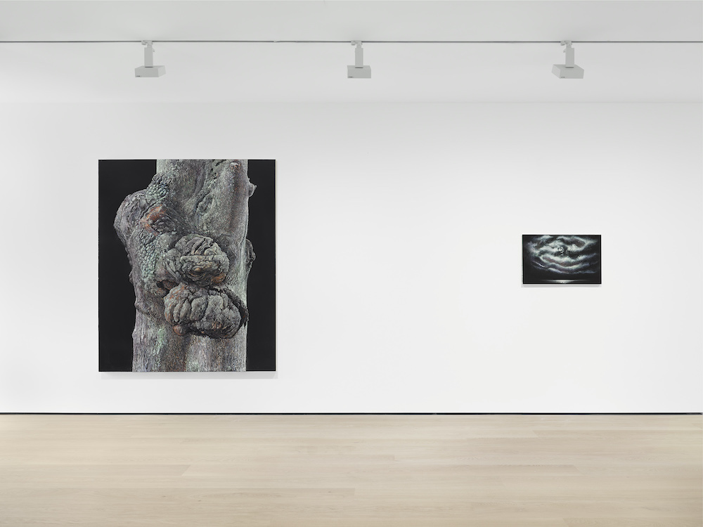 Daichi Takagi David Zwirner 