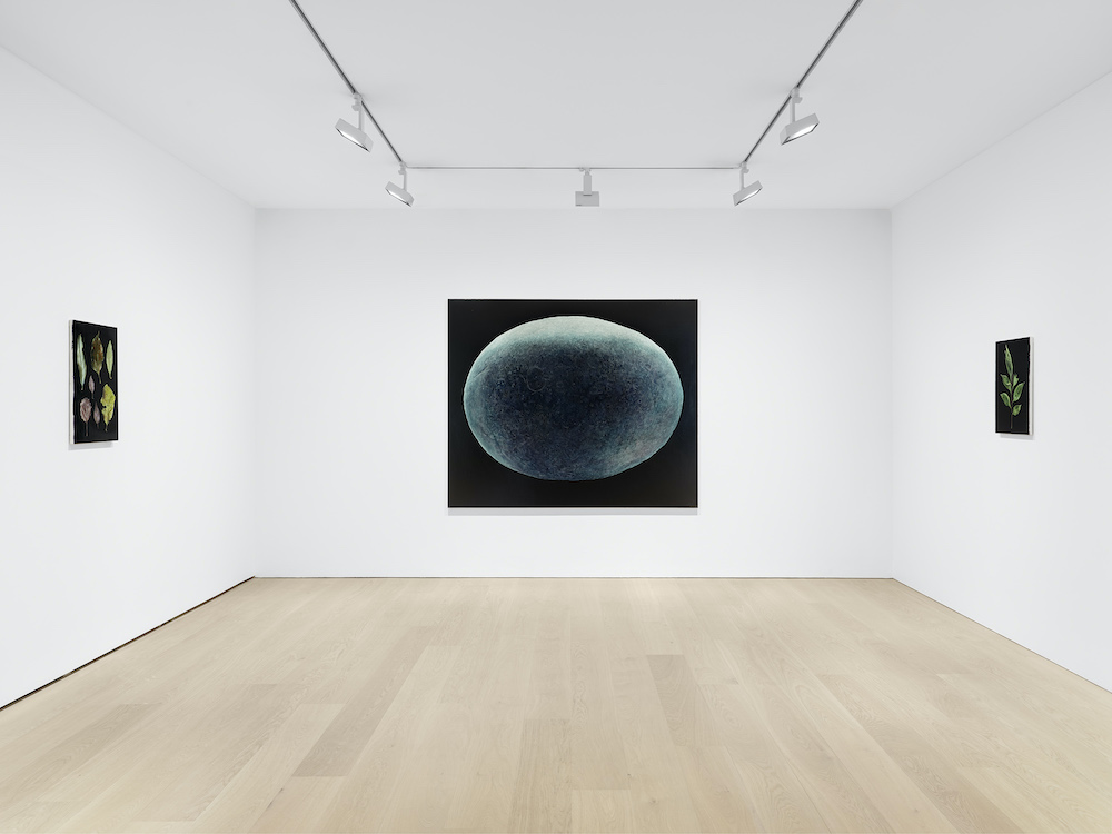 Daichi Takagi David Zwirner 