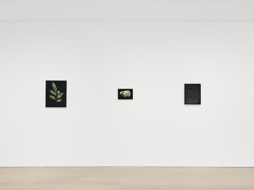 Daichi Takagi David Zwirner 