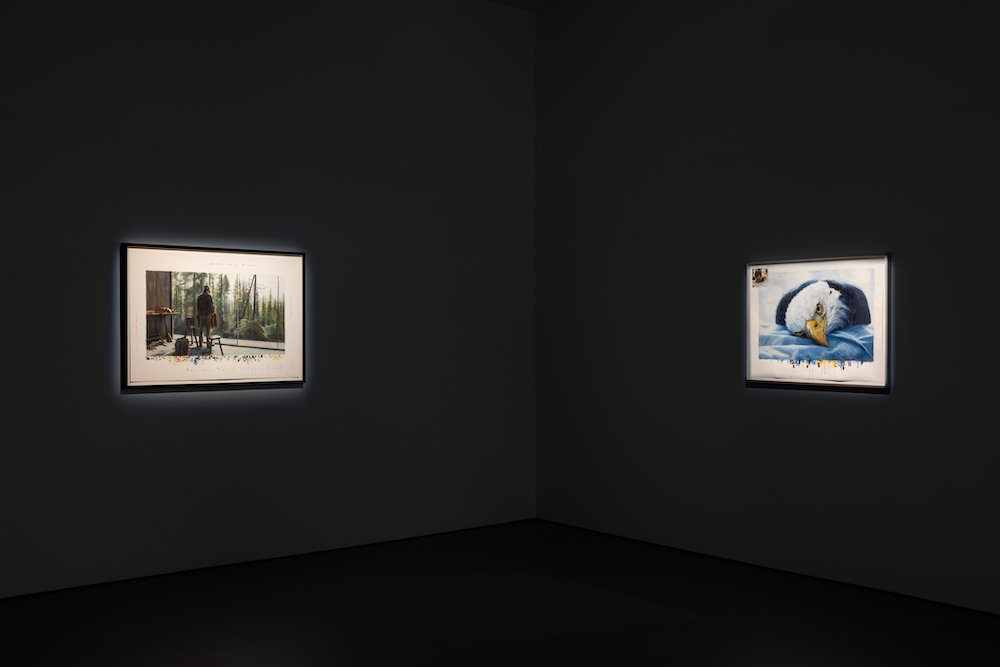 David Claerbout Esther Schipper 