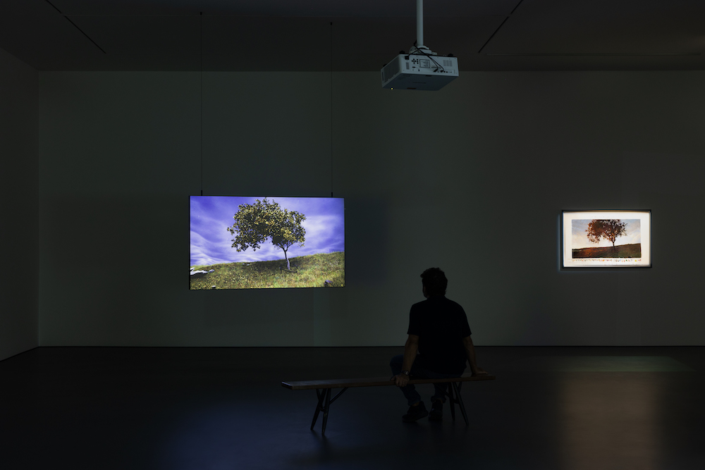 David Claerbout Esther Schipper 