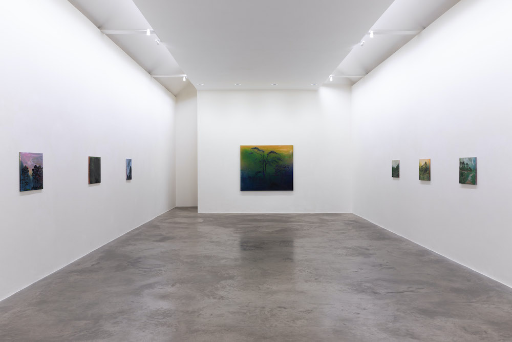Elizabeth Magill Kerlin Gallery 