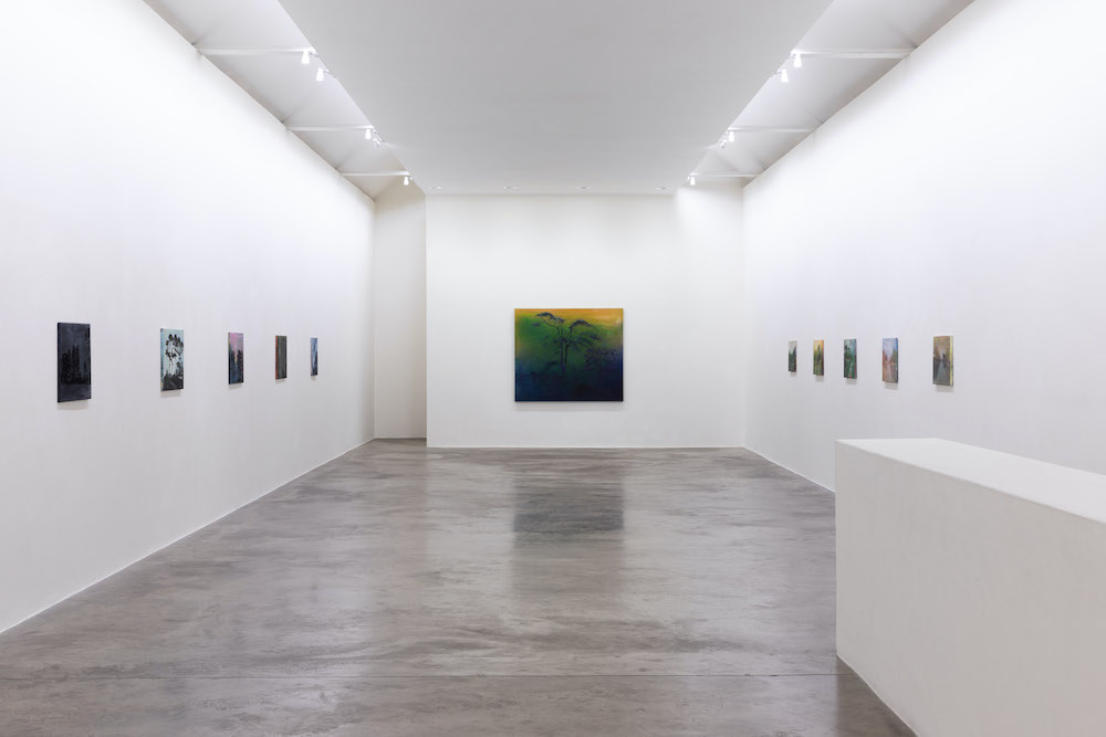 Elizabeth Magill Kerlin Gallery 