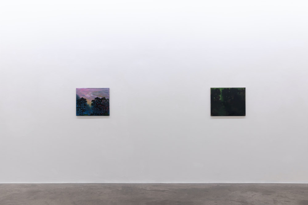 Elizabeth Magill Kerlin Gallery 