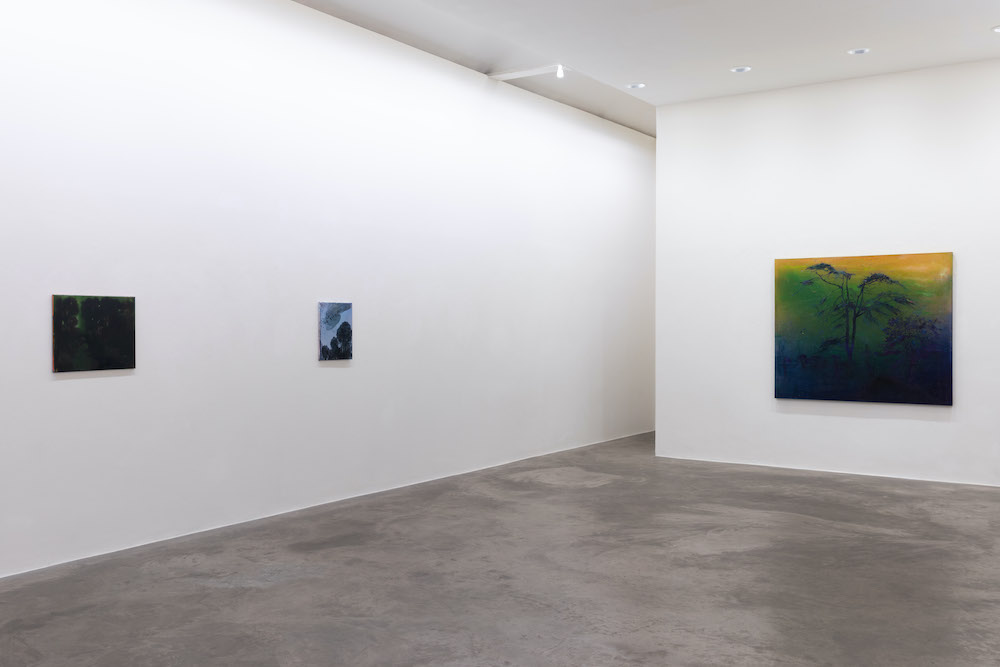 Elizabeth Magill Kerlin Gallery 