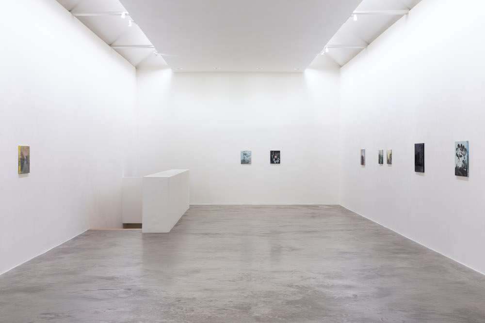 Elizabeth Magill Kerlin Gallery 