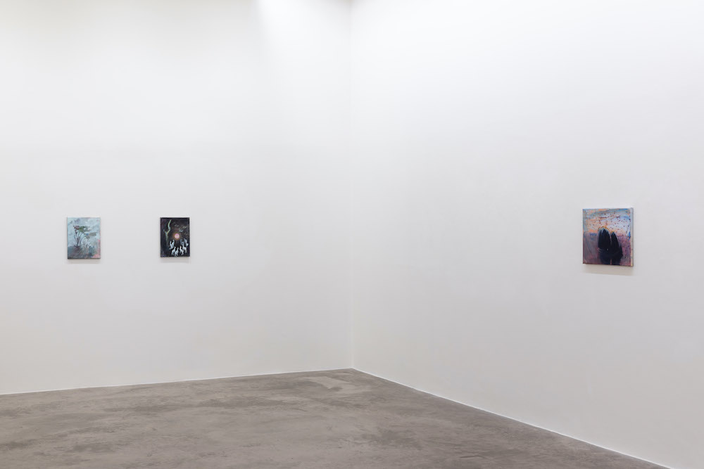 Elizabeth Magill Kerlin Gallery 