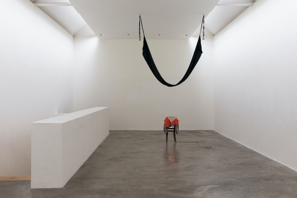 Aleana Egan Kerlin Gallery 