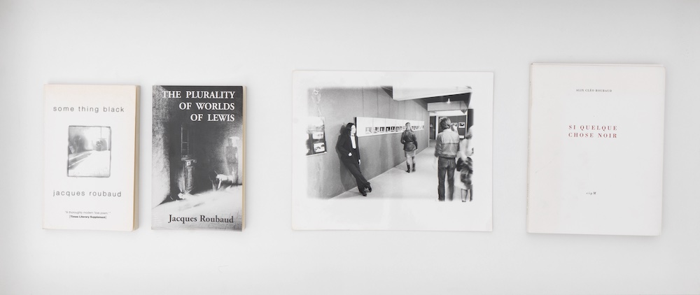 Alix Cléo Roubaud Galerie Buchholz 