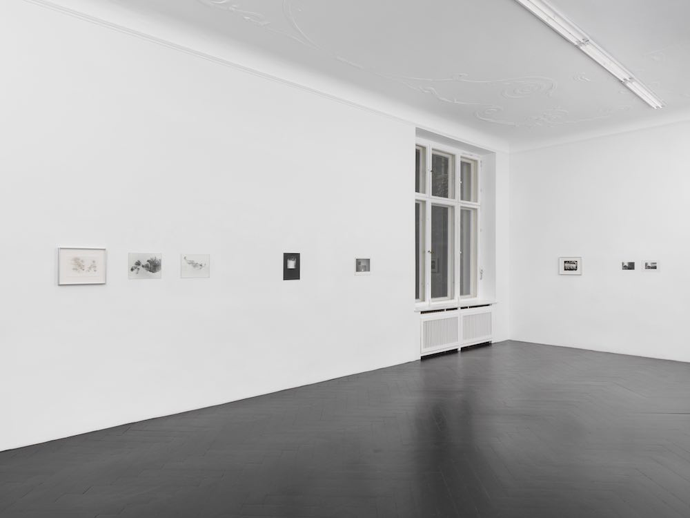 Alix Cléo Roubaud Galerie Buchholz 