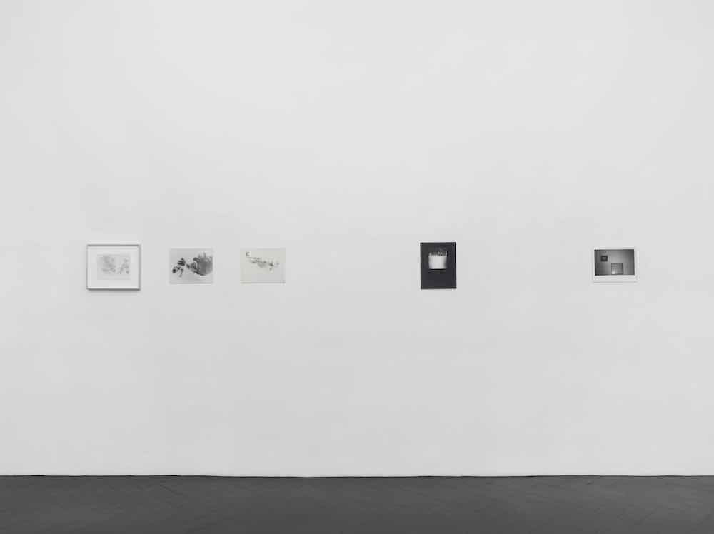 Alix Cléo Roubaud Galerie Buchholz 