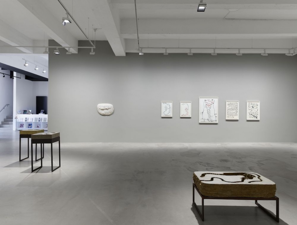 Anna Maria Maiolino Hauser & Wirth 