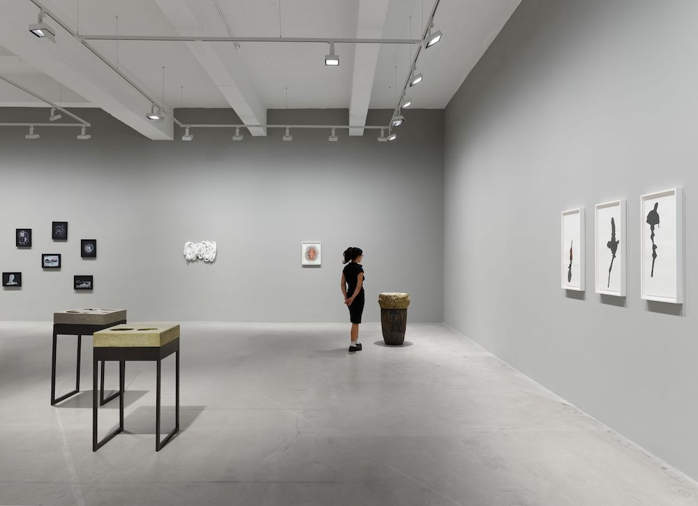 Anna Maria Maiolino Hauser & Wirth 