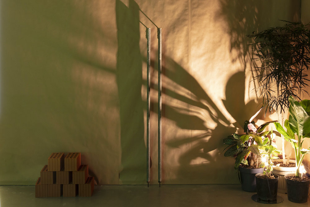 Lagartijas Tiradas al Sol Galerie Nordenhake 