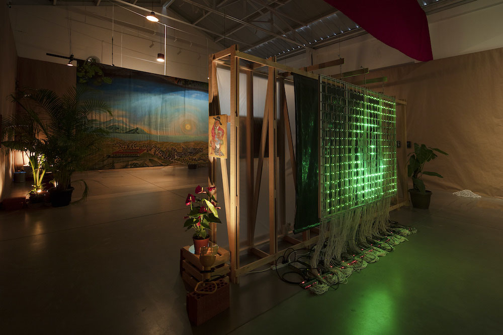Lagartijas Tiradas al Sol Galerie Nordenhake 