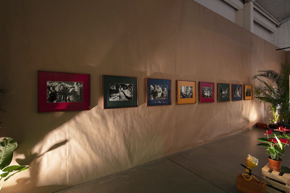Lagartijas Tiradas al Sol Galerie Nordenhake 