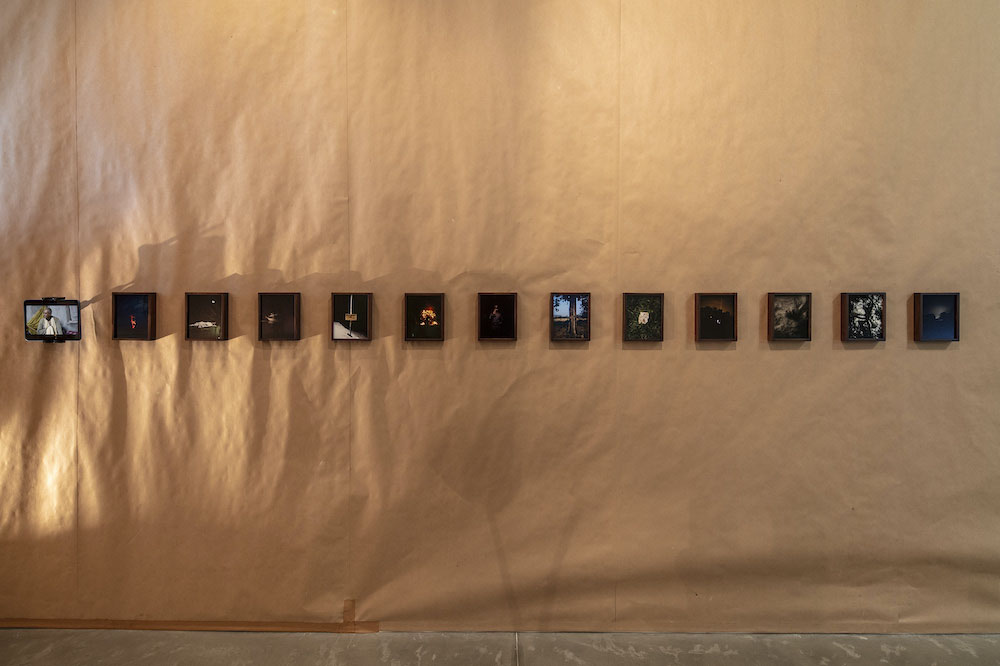 Lagartijas Tiradas al Sol Galerie Nordenhake 