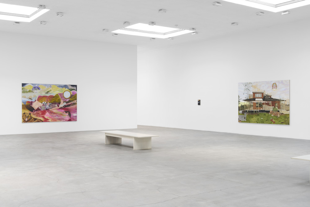 Leidy Churchman Matthew Marks Gallery 
