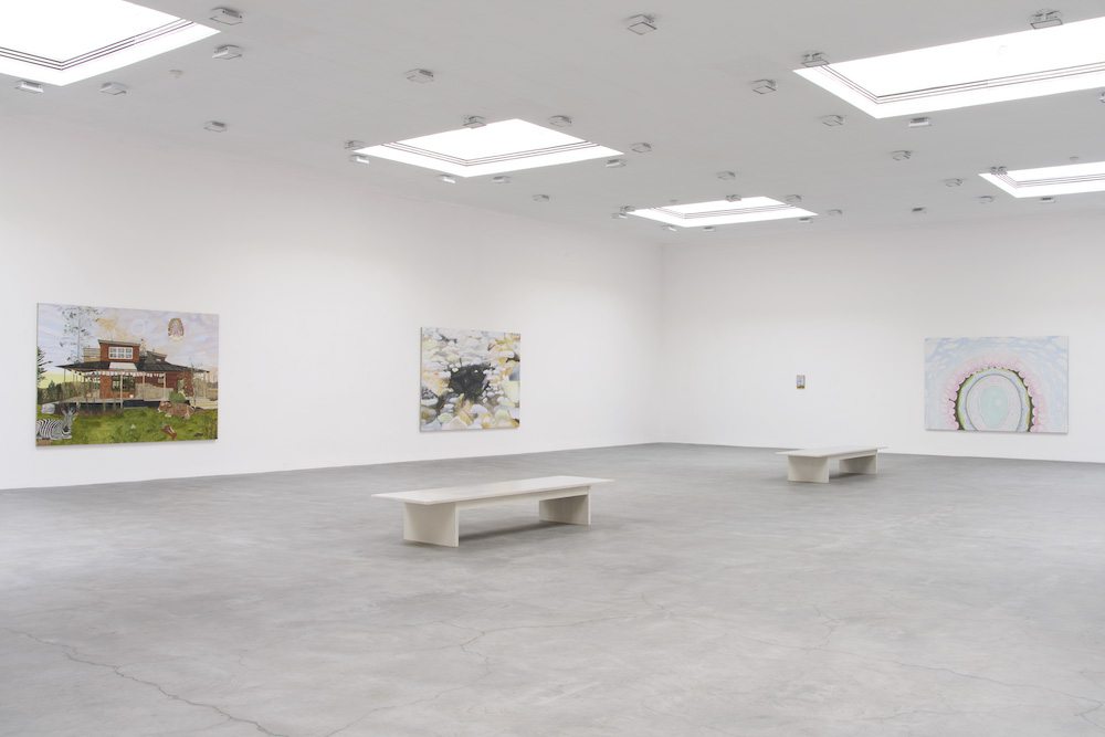 Leidy Churchman Matthew Marks Gallery 
