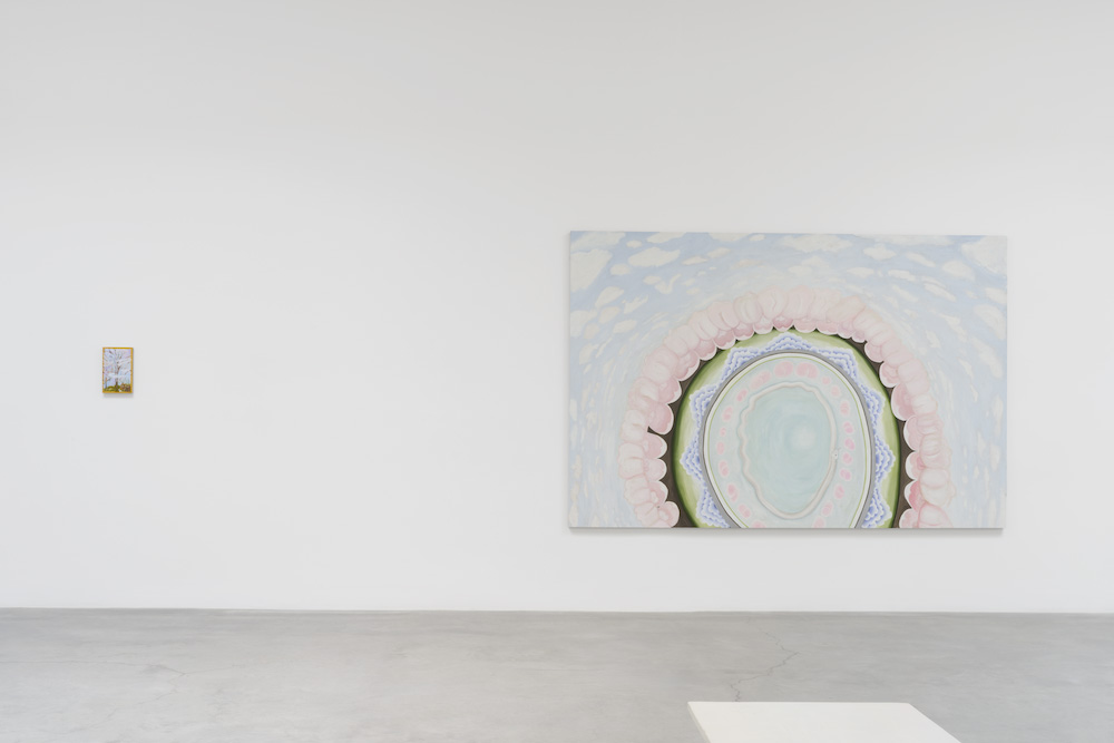 Leidy Churchman Matthew Marks Gallery 