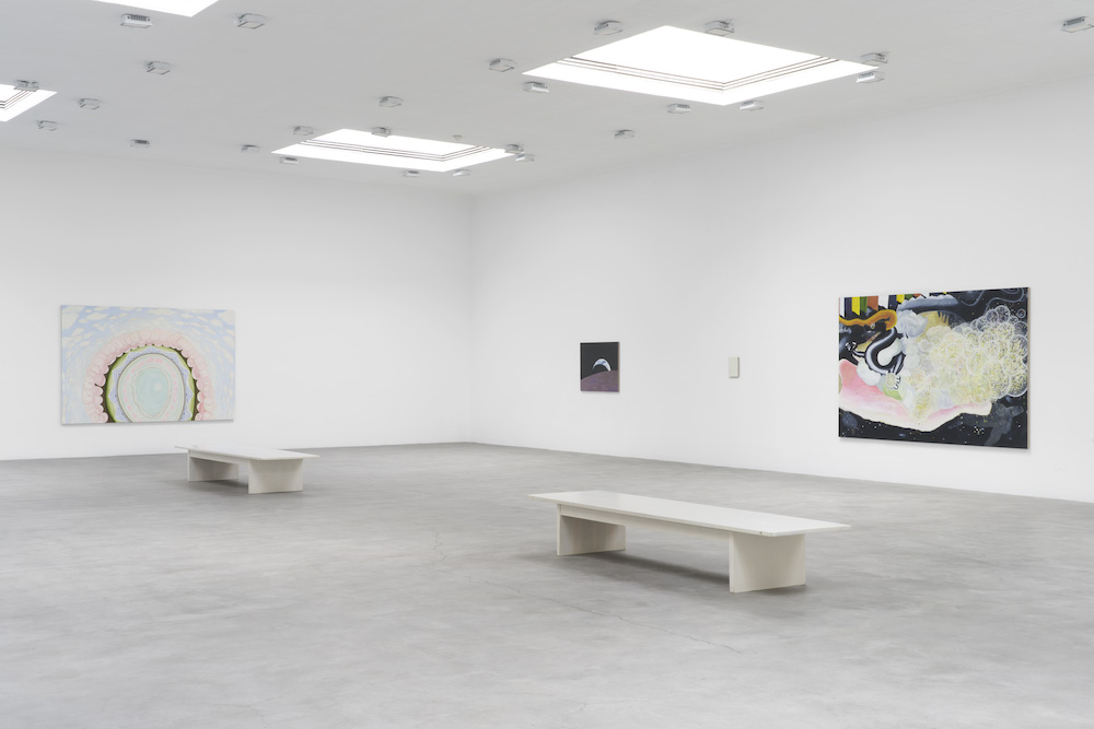 Leidy Churchman Matthew Marks Gallery 