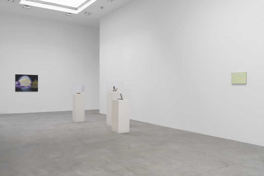 Leidy Churchman Matthew Marks Gallery 