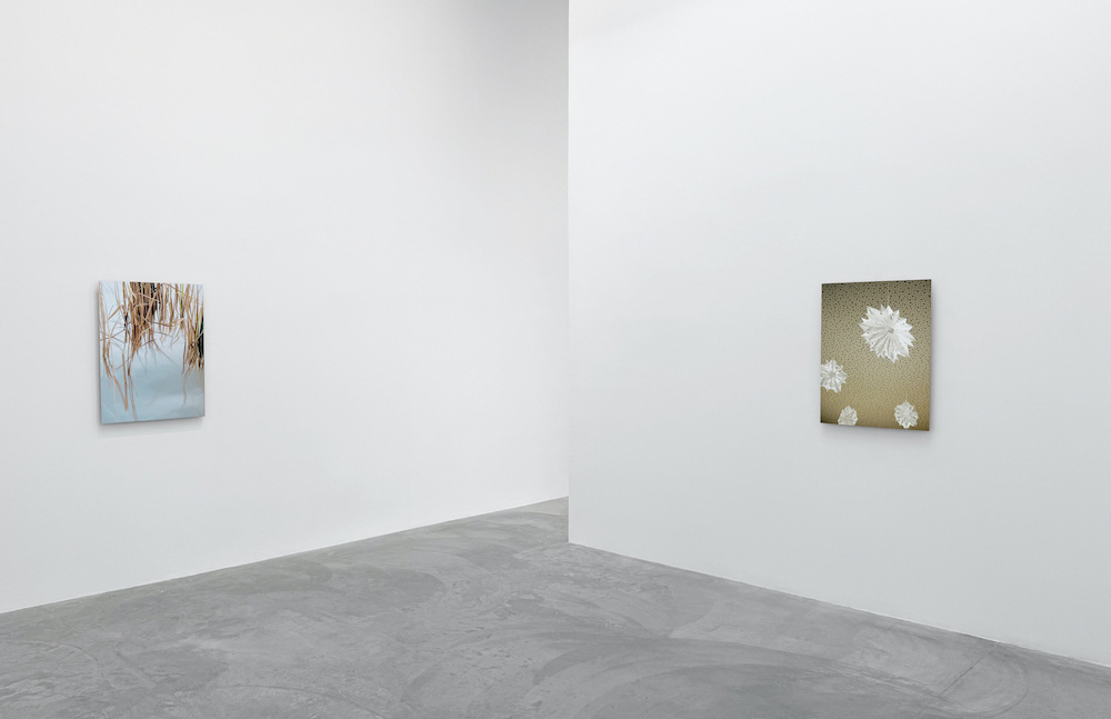 Thomas Demand Matthew Marks Gallery 