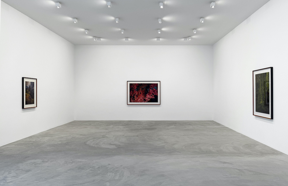 Thomas Demand Matthew Marks Gallery 