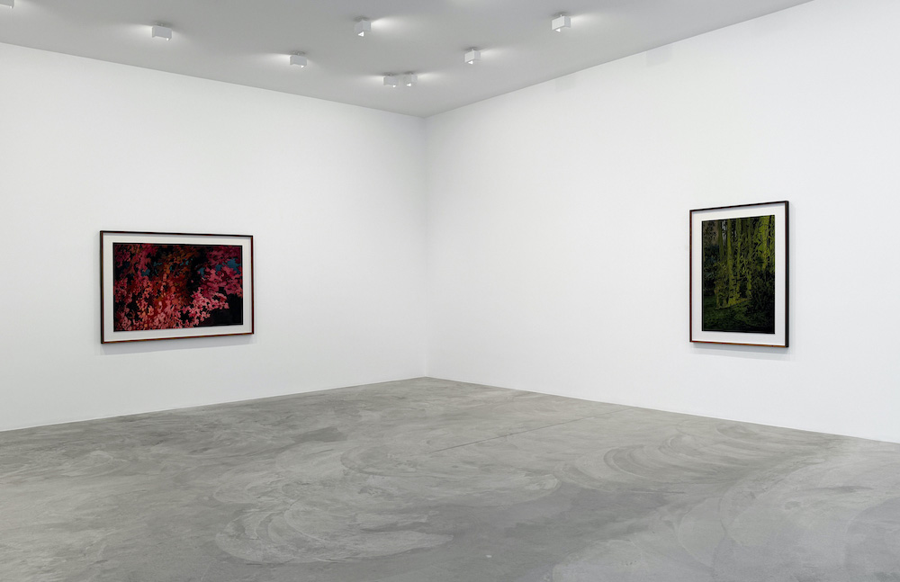 Thomas Demand Matthew Marks Gallery 