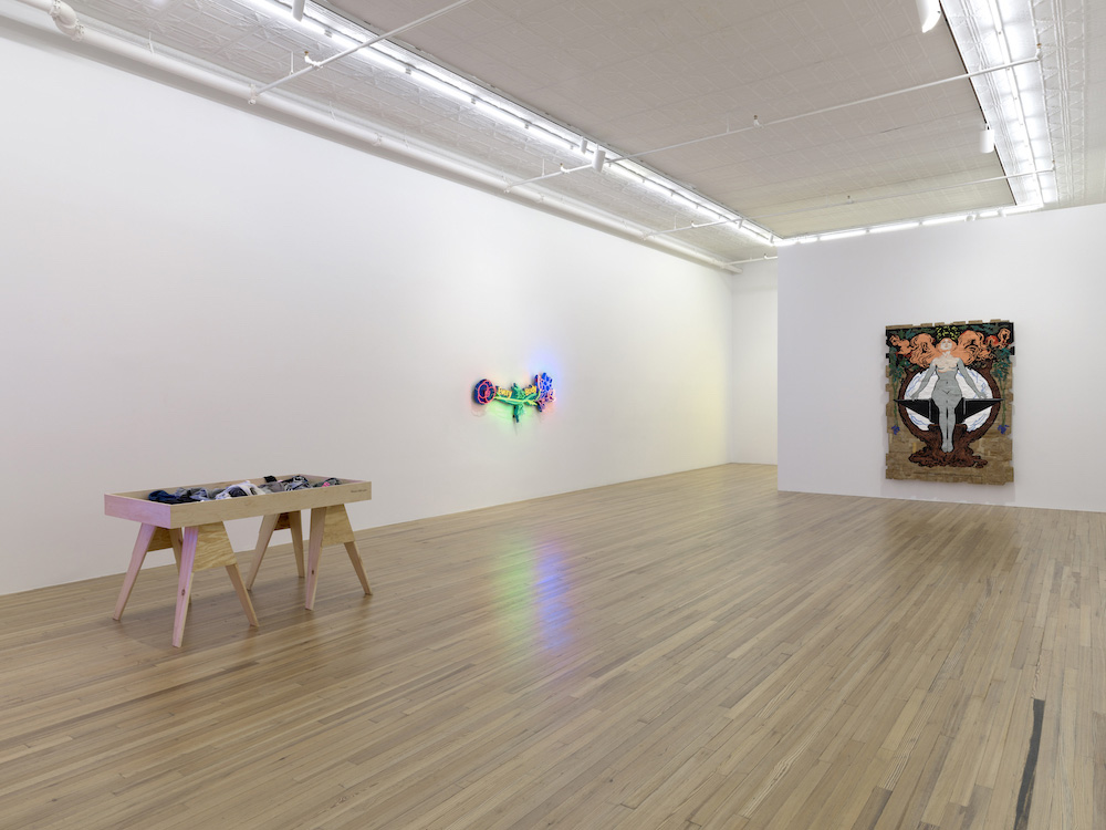 Andrea Bowers Andrew Kreps Gallery 