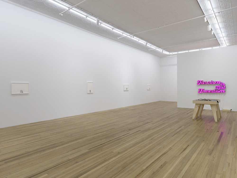 Andrea Bowers Andrew Kreps Gallery 