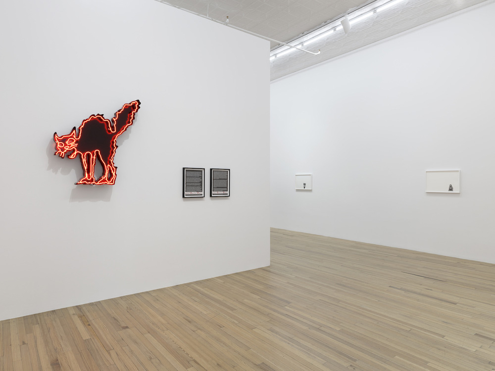 Andrea Bowers Andrew Kreps Gallery 