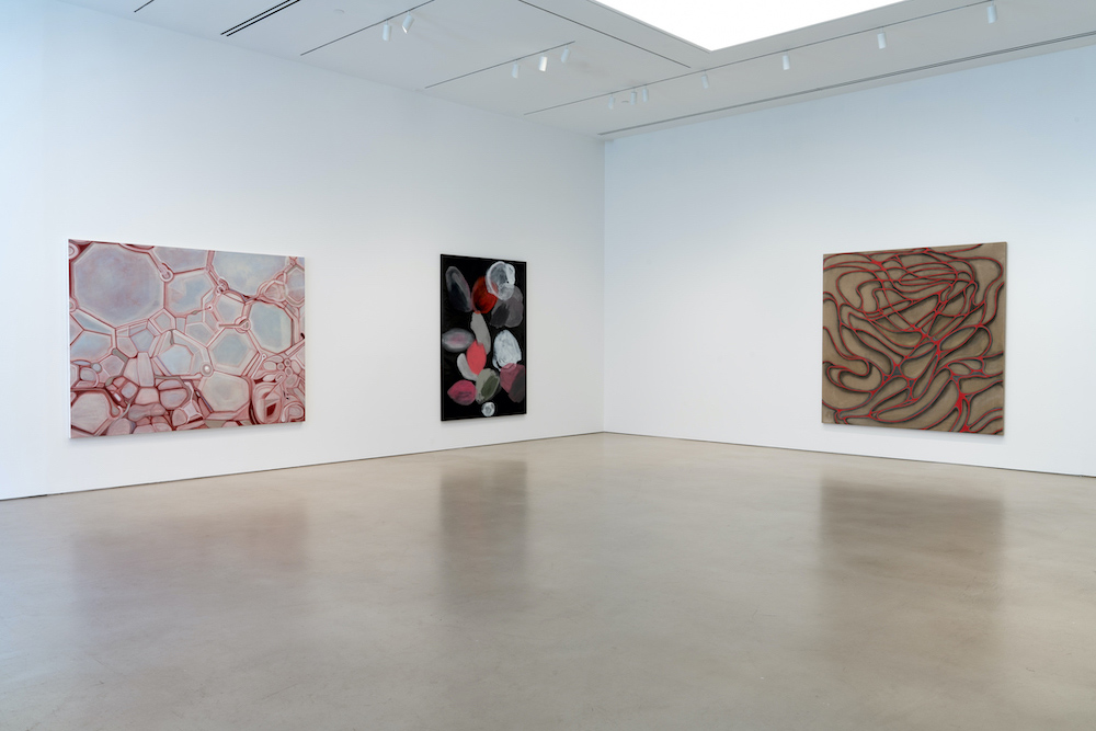 Ross Bleckner Petzel Gallery 