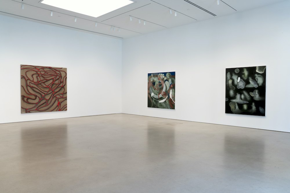 Ross Bleckner Petzel Gallery 