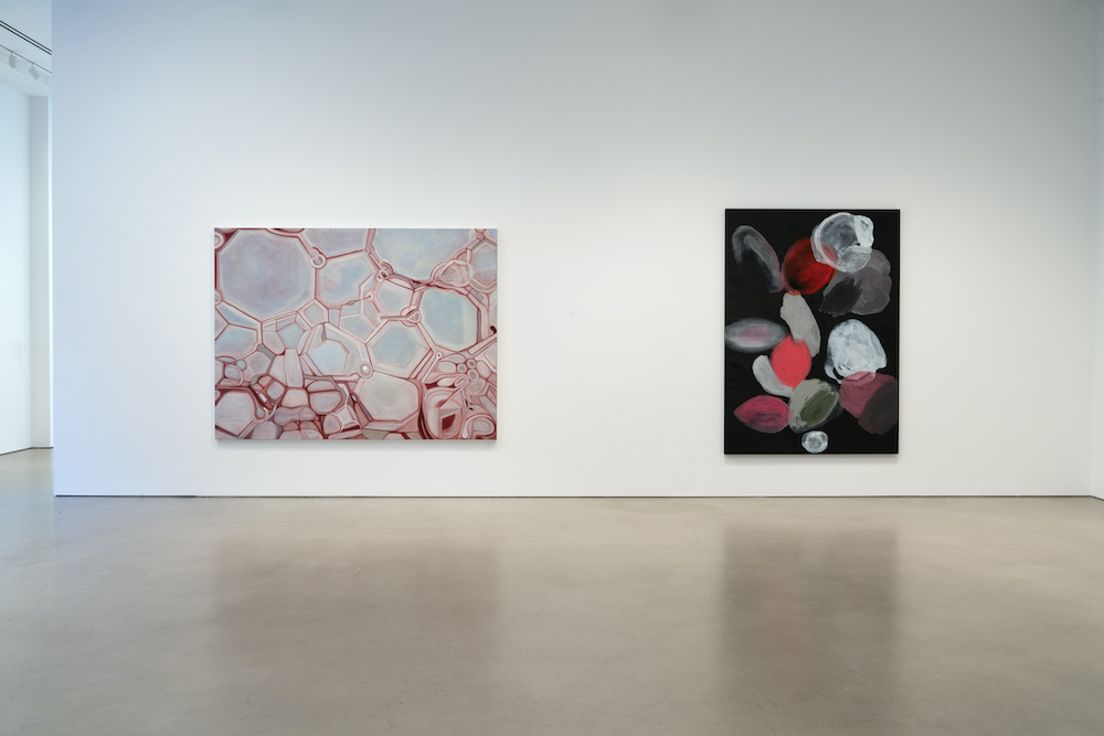 Ross Bleckner Petzel Gallery 