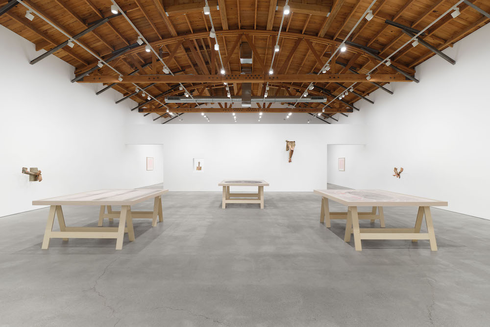 Paul Pfeiffer Perrotin 