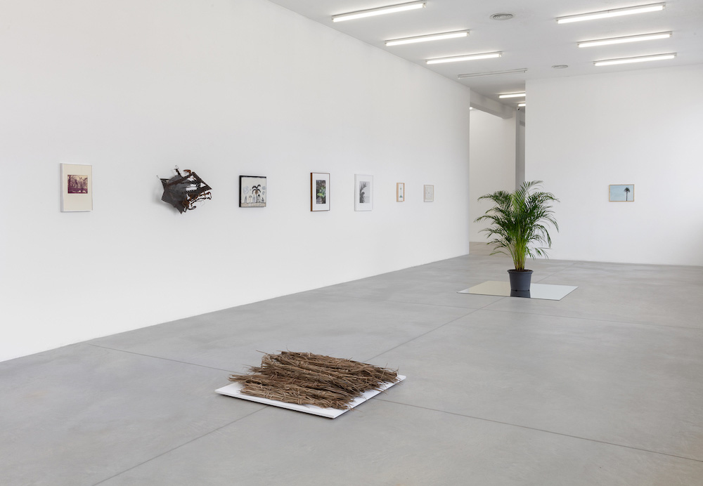  Galleria Franco Noero 