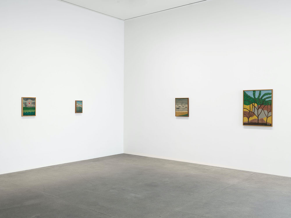 Amadeo Luciano Lorenzato David Zwirner 