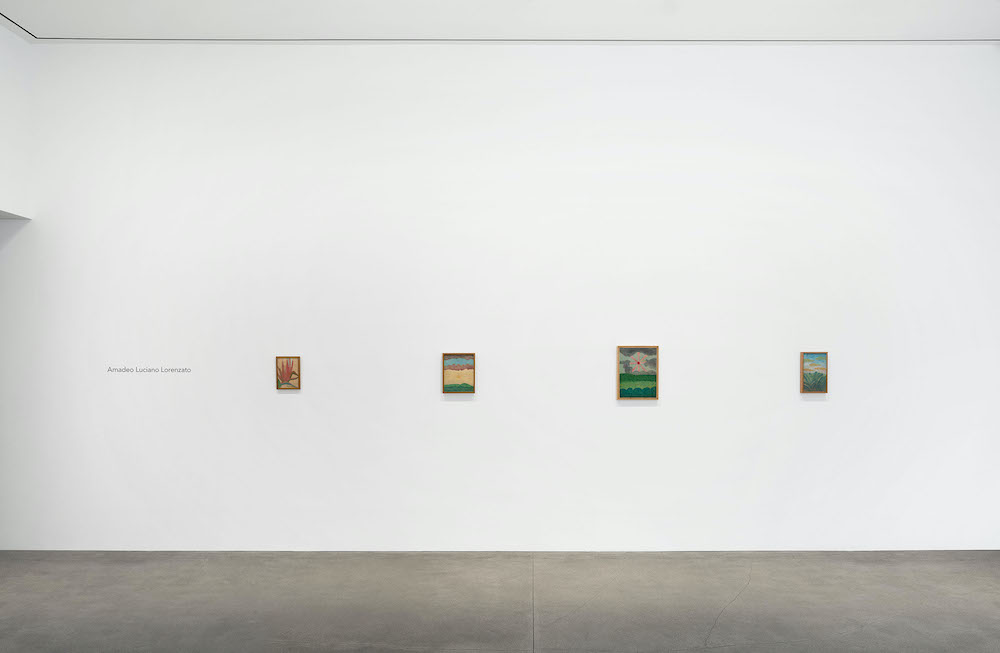 Amadeo Luciano Lorenzato David Zwirner 