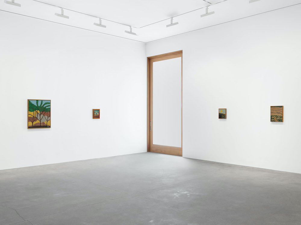 Amadeo Luciano Lorenzato David Zwirner 