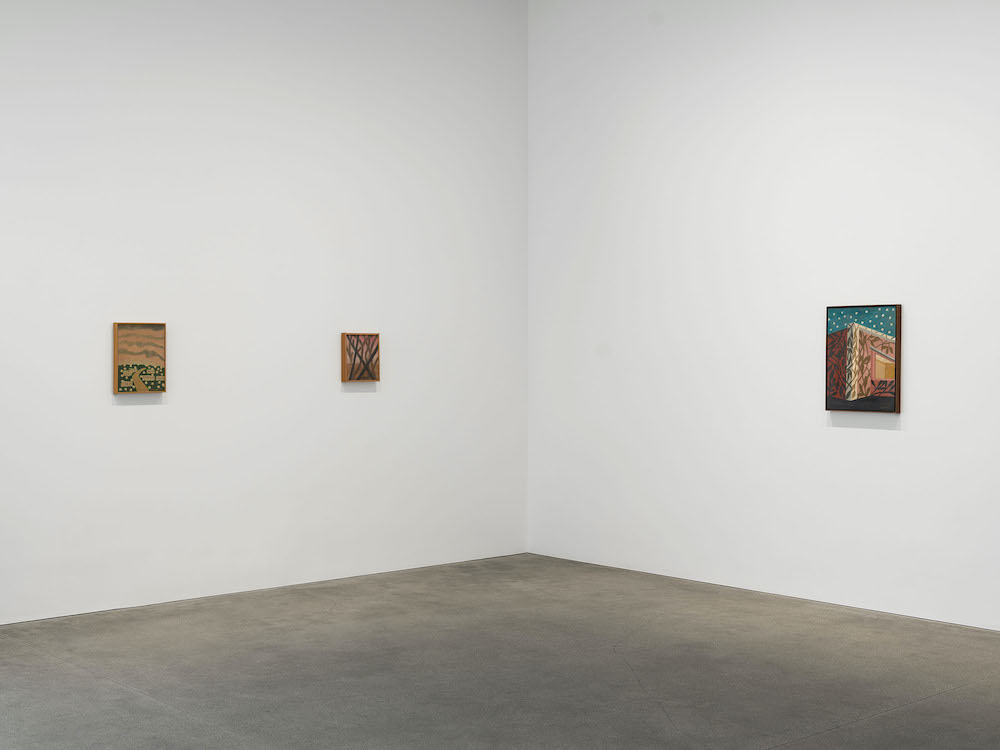 Amadeo Luciano Lorenzato David Zwirner 