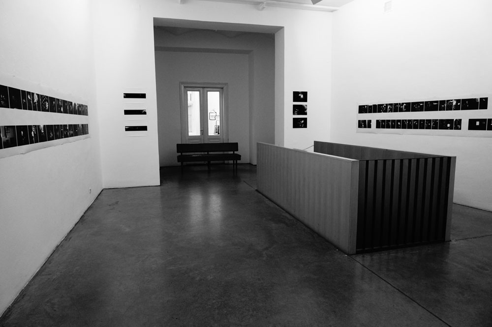 Mircea Stanescu Christine Koenig Galerie 