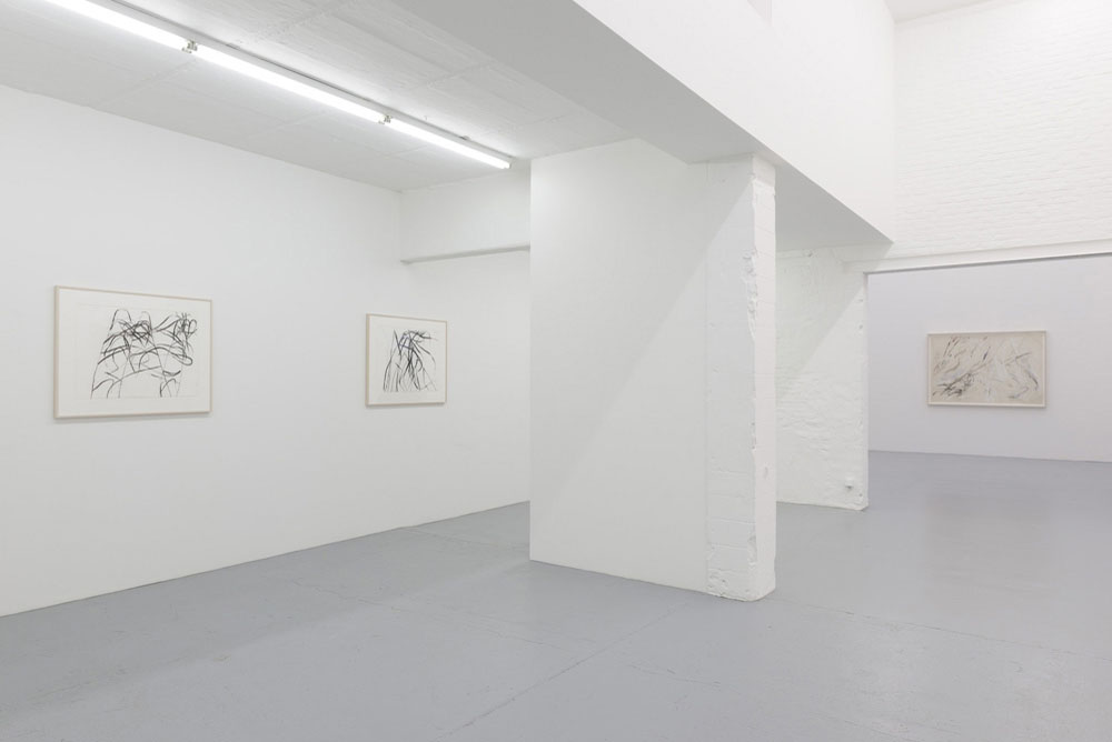 Susan Hartnett Zeno X Gallery 