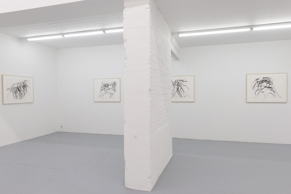 Susan Hartnett Zeno X Gallery 