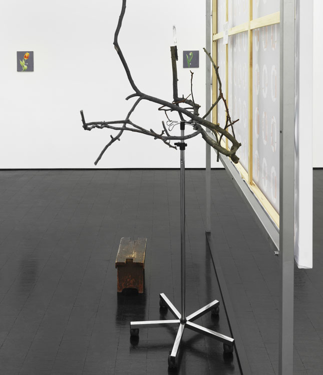 Andreas Siekmann Galerie Barbara Weiss 