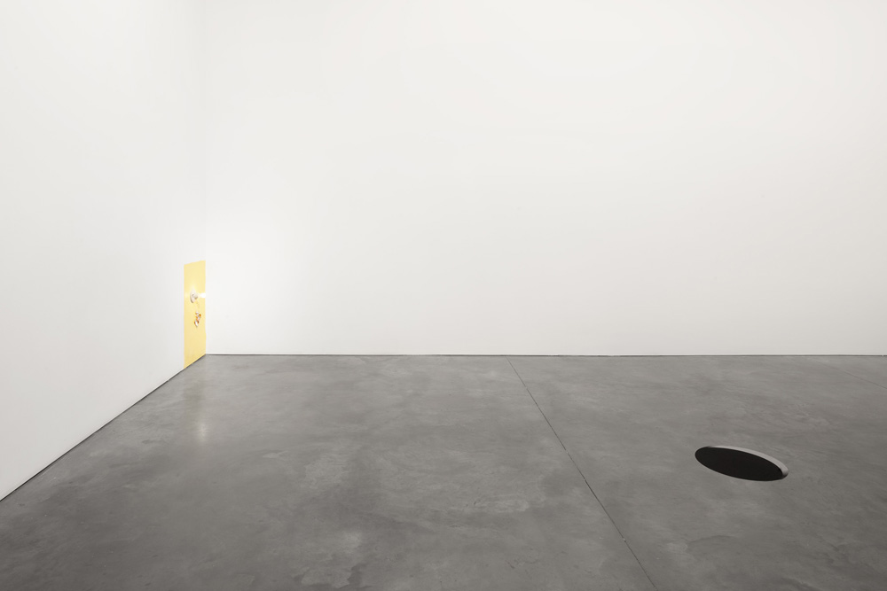 Mika Rottenberg Andrea Rosen Gallery (closed) 