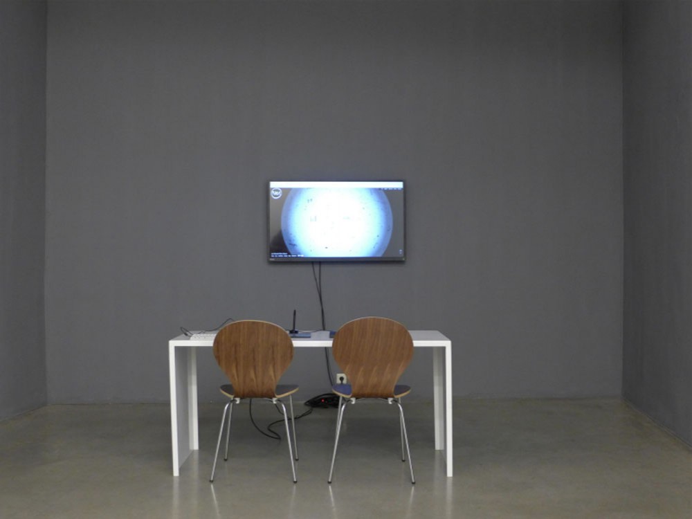 Ai Weiwei Christine Koenig Galerie 