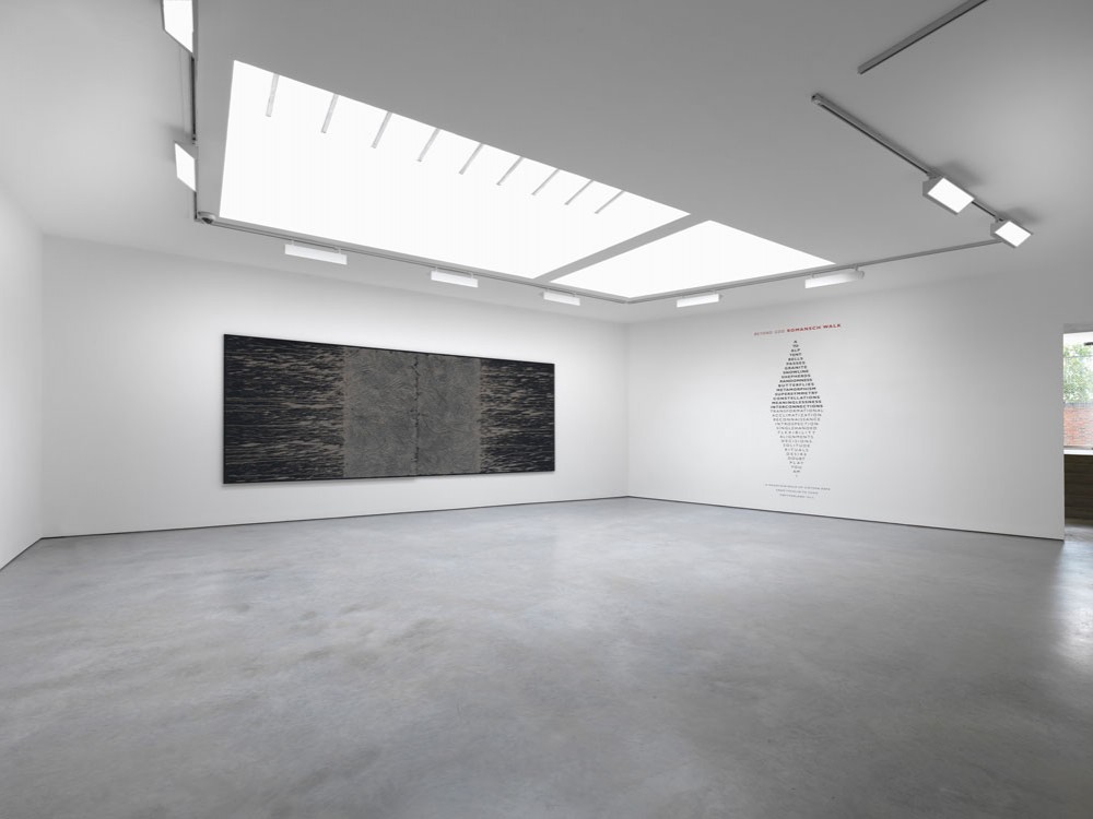 Richard Long Lisson Gallery 